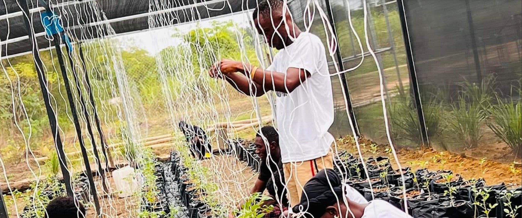 Graduation UA Bobo Dioulasso 7